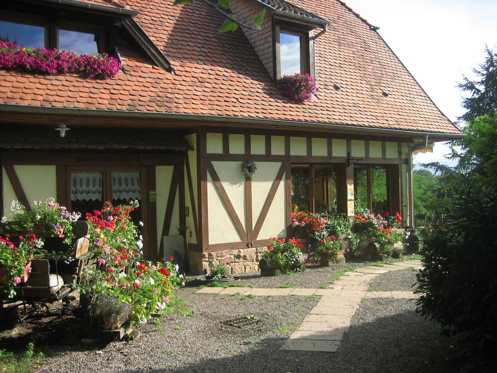Le Neufeld Acomodação com café da manhã Oberhaslach Exterior foto