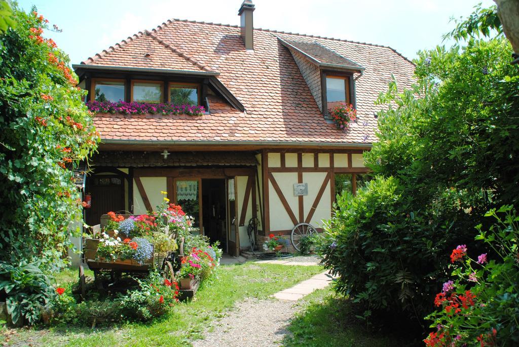 Le Neufeld Acomodação com café da manhã Oberhaslach Exterior foto