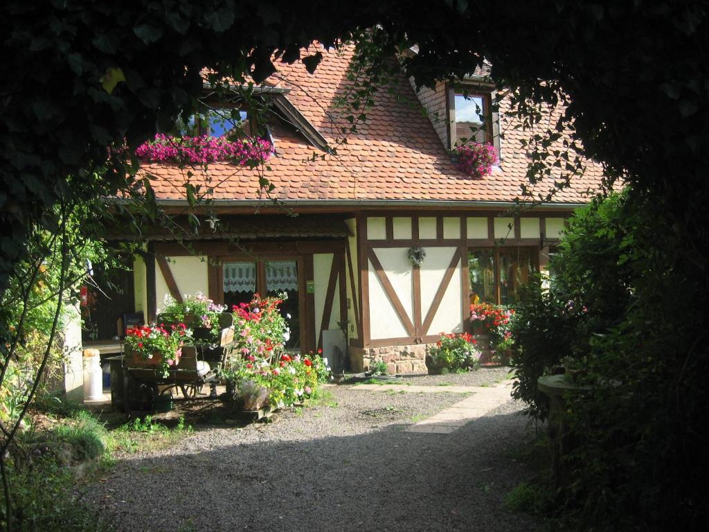 Le Neufeld Acomodação com café da manhã Oberhaslach Exterior foto